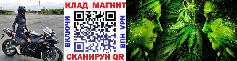 Виды наркотиков купить Петровск-Забайкальский Псилоцибиновые грибы ГАШИШ Конопля mega вход A-PVP COCAIN