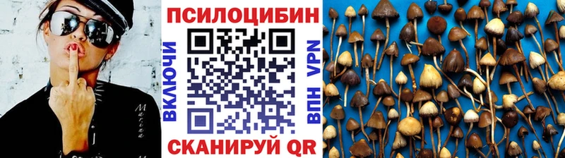 Галлюциногенные грибы Cubensis  hydra   Петровск-Забайкальский 